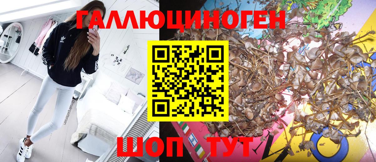 Мыски  где можно купить   Вход с VPN  Галлюциногенные грибы мицелий 